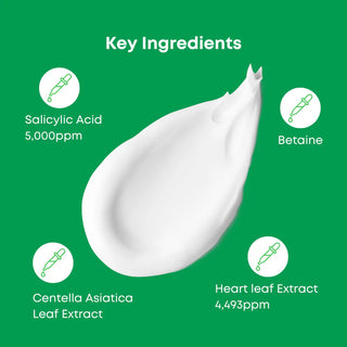 NINE LESS A-Control Heartleaf & BHA Cleanser